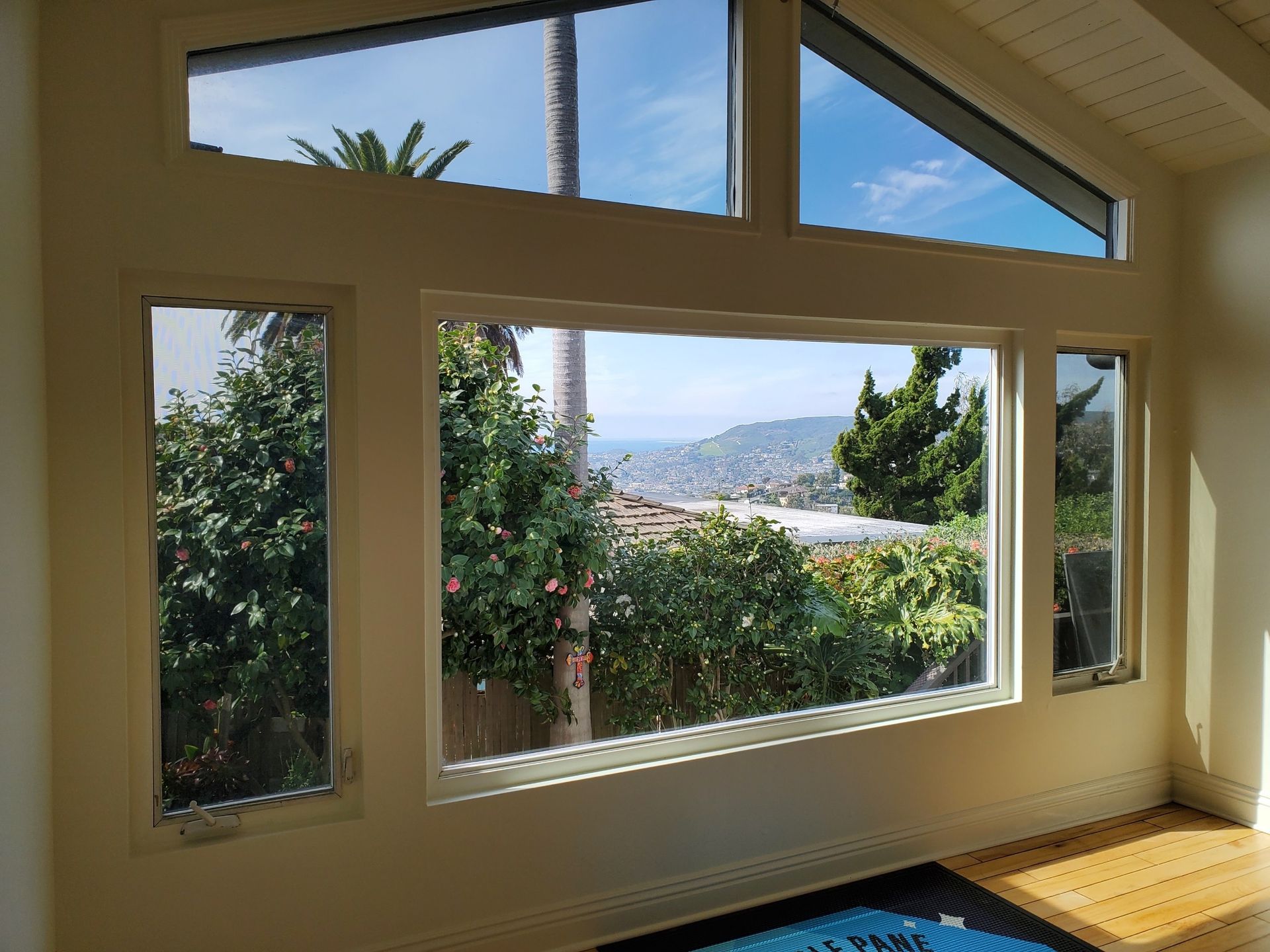 Large windows with a view of greenery, blue sky, and buildings. Sunlight streams in.