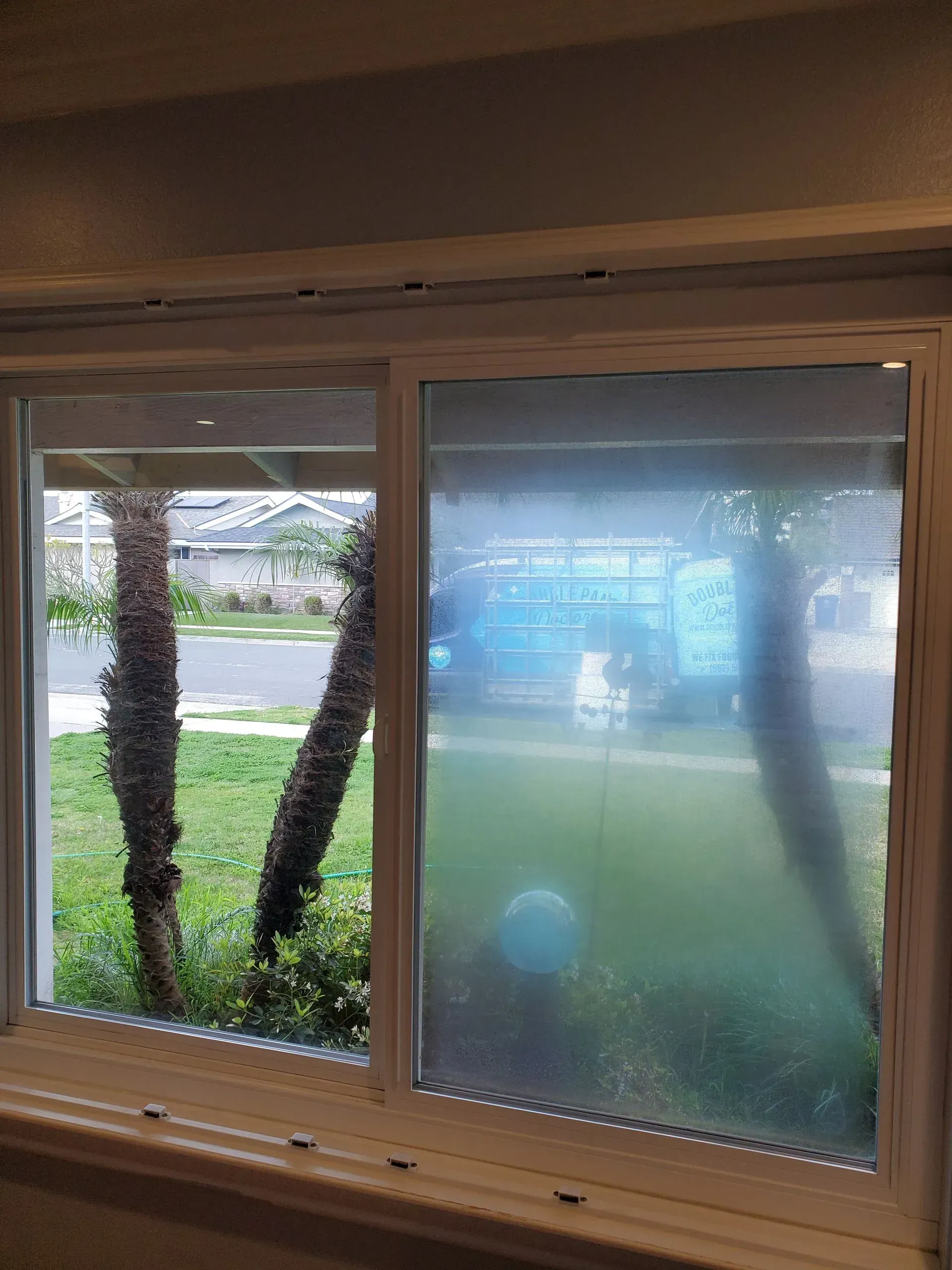 Window with fogged glass, showing trees and a street outside.