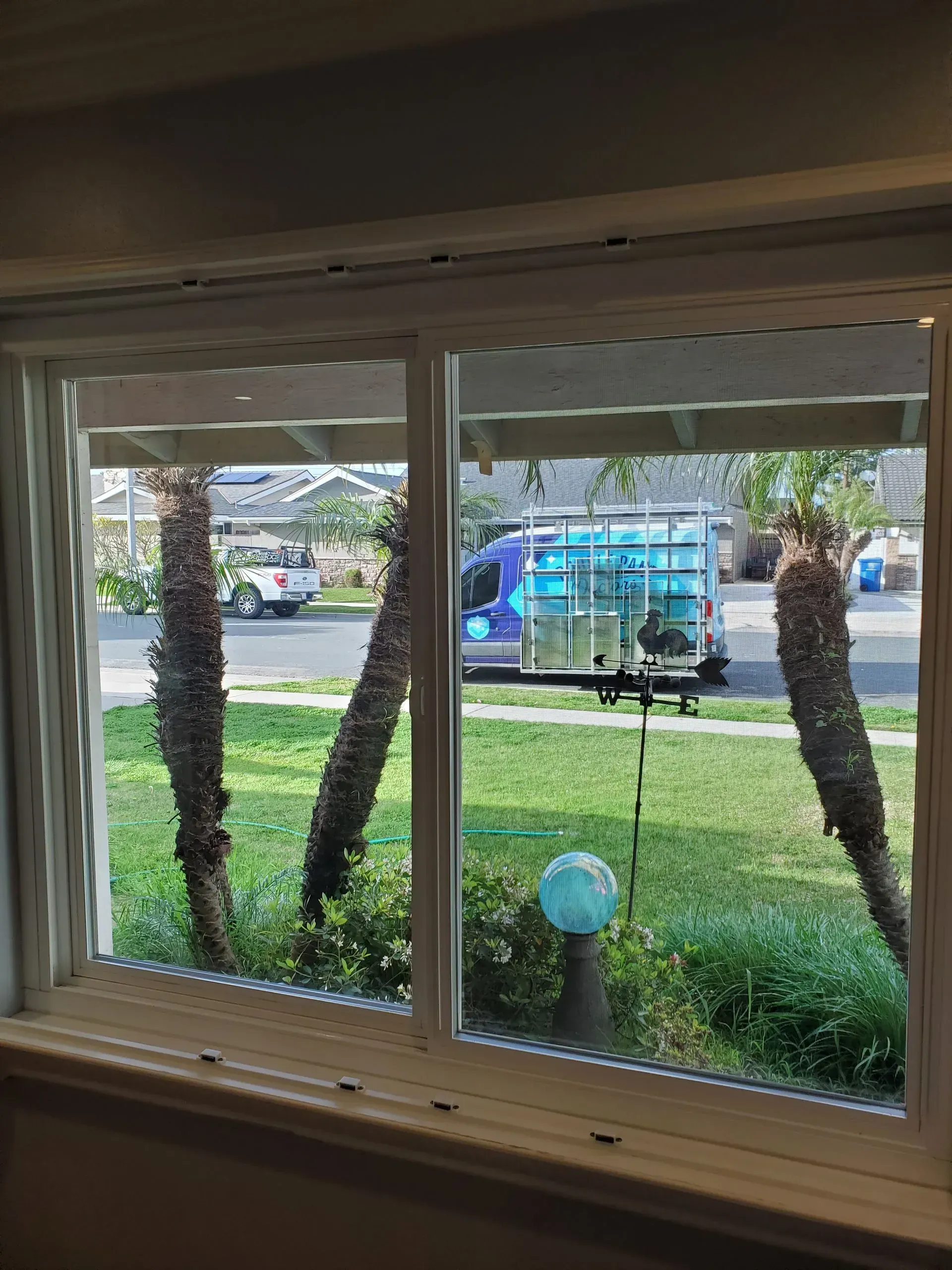 View through a window: palm trees, a truck, and a blue gazing ball in a front yard.