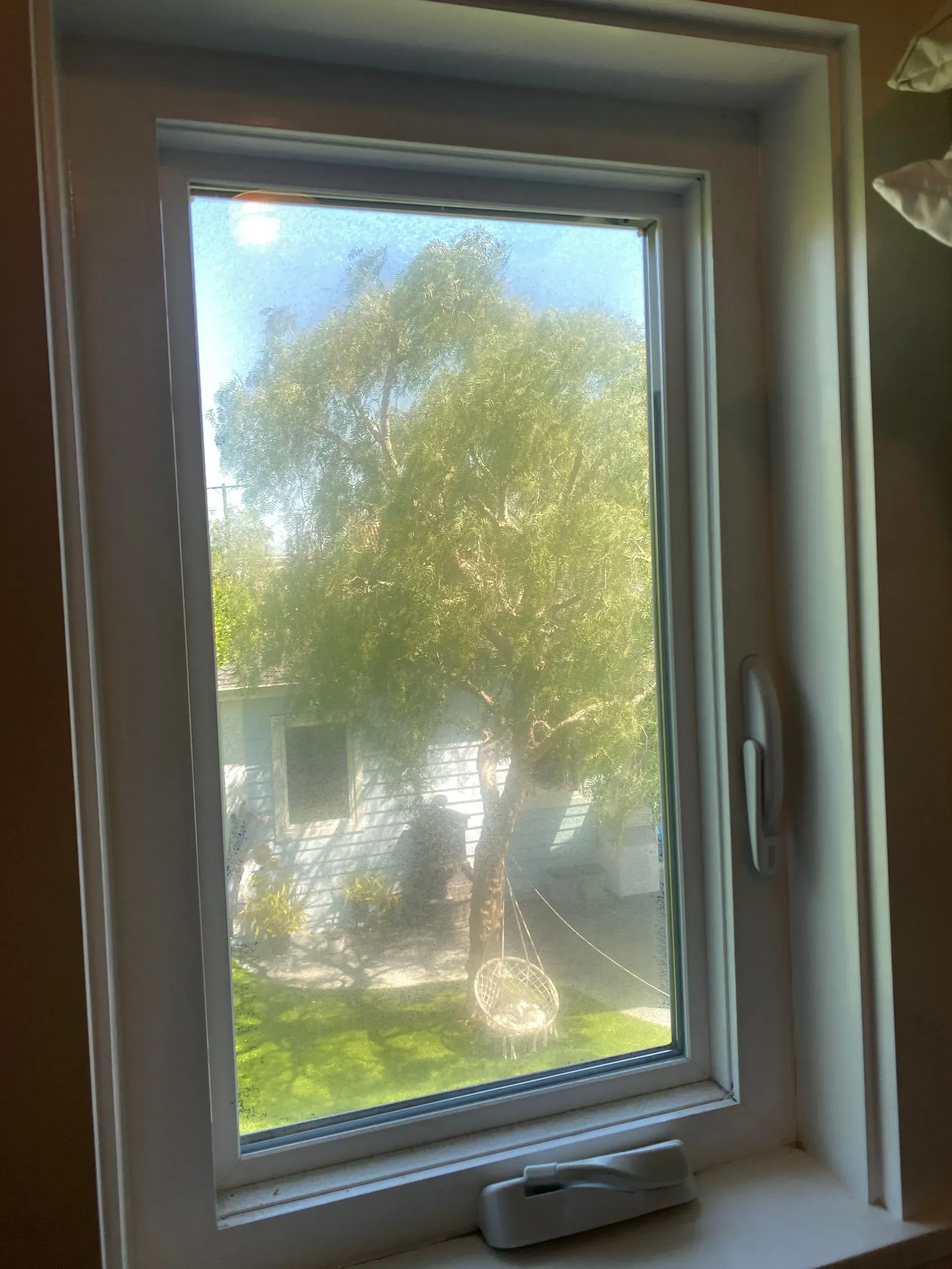 White window with a view of a bright green tree.