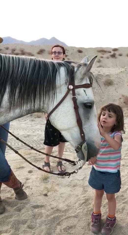 Equestrian therapy
