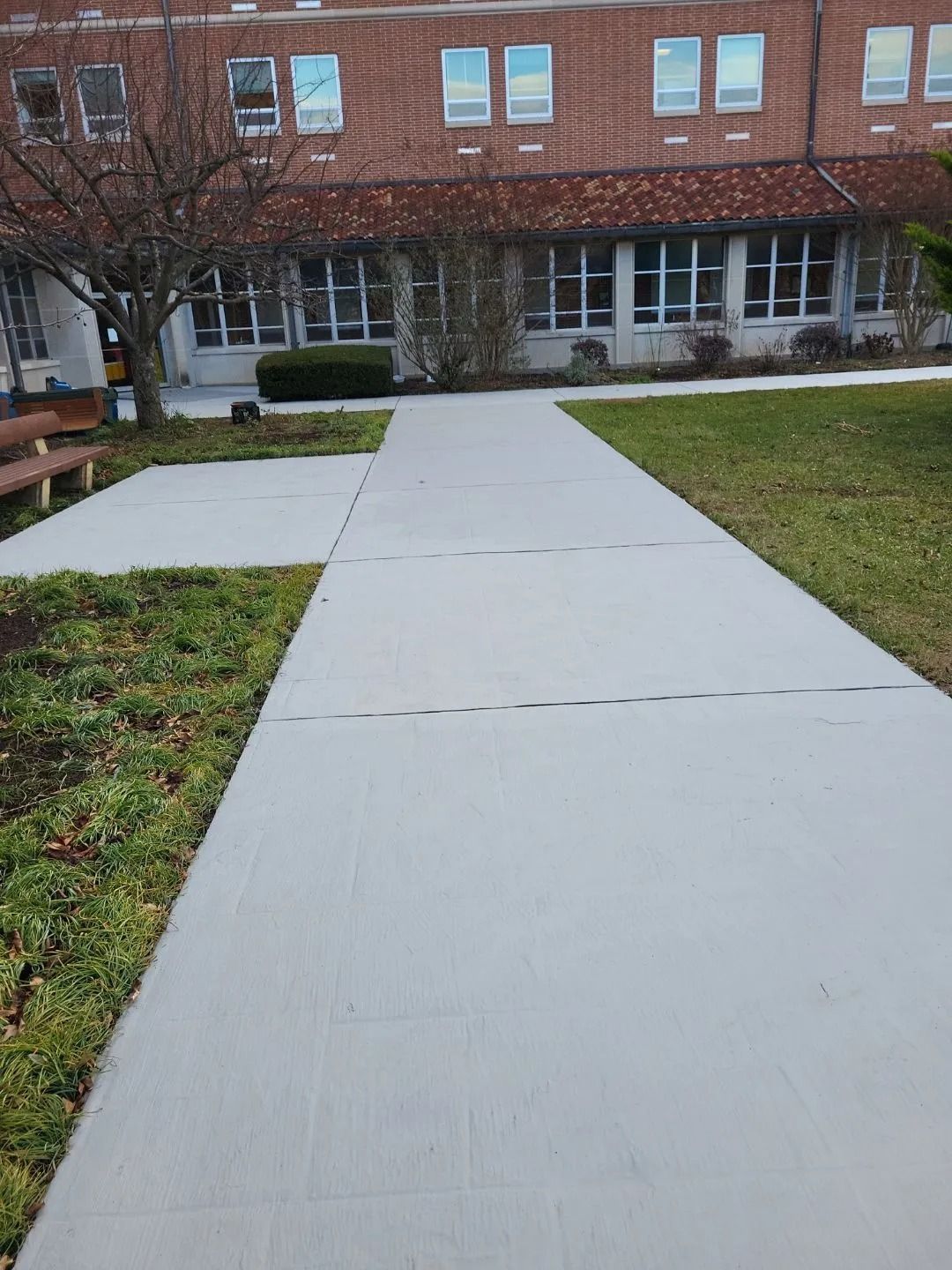 Concrete sidewalk leading toward a brick building with windows. Grass and a small tree border the path.