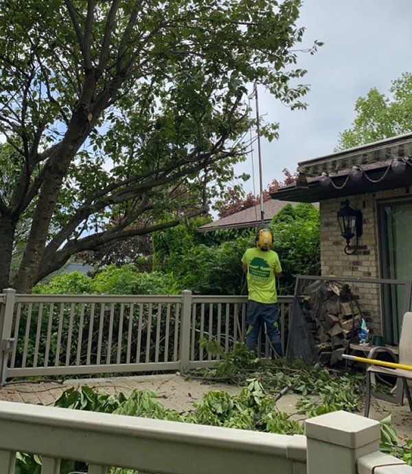Tree service