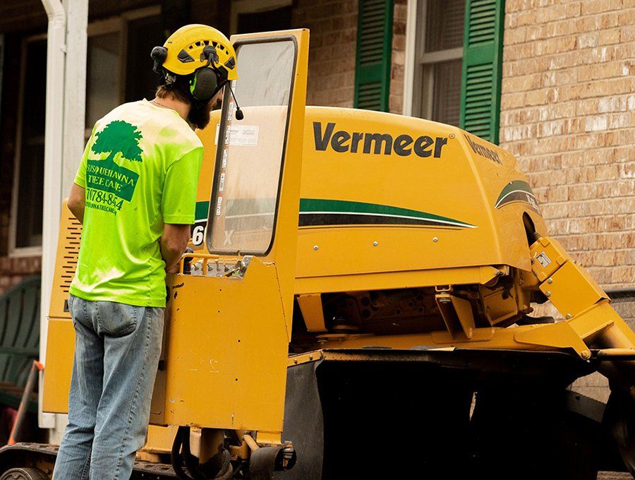 Stump grinding service