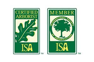 ISA (International Society of Arbor Culture) Certified Arborists
