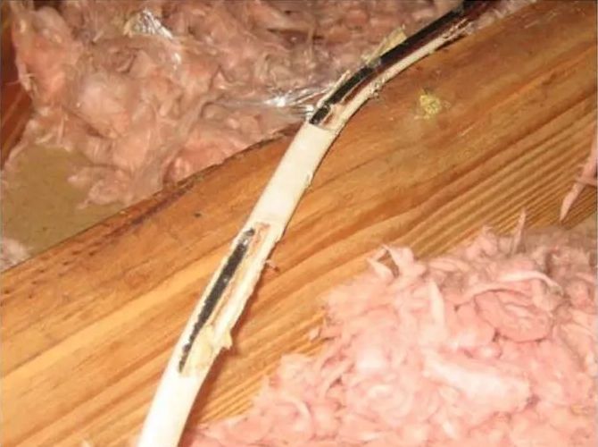 Damaged electrical wire against a wooden beam, surrounded by pink insulation.