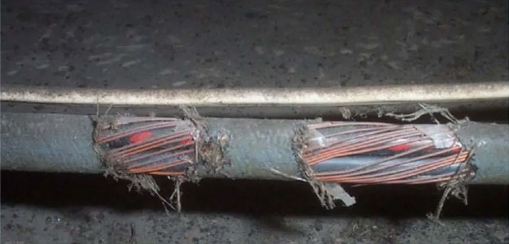 Damaged electrical cables with exposed wires, possibly in an industrial setting.