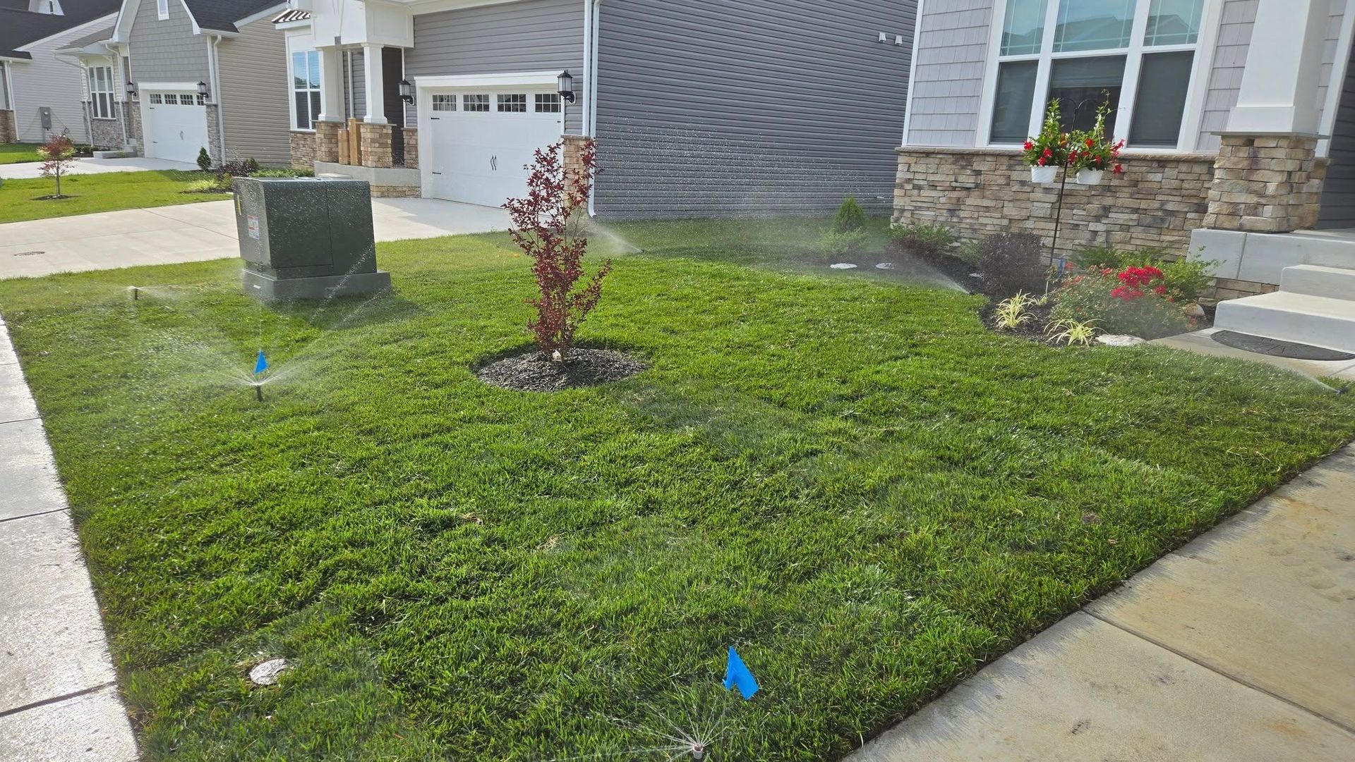 A sprinkler is spraying water on a lush green lawn in front of a house.