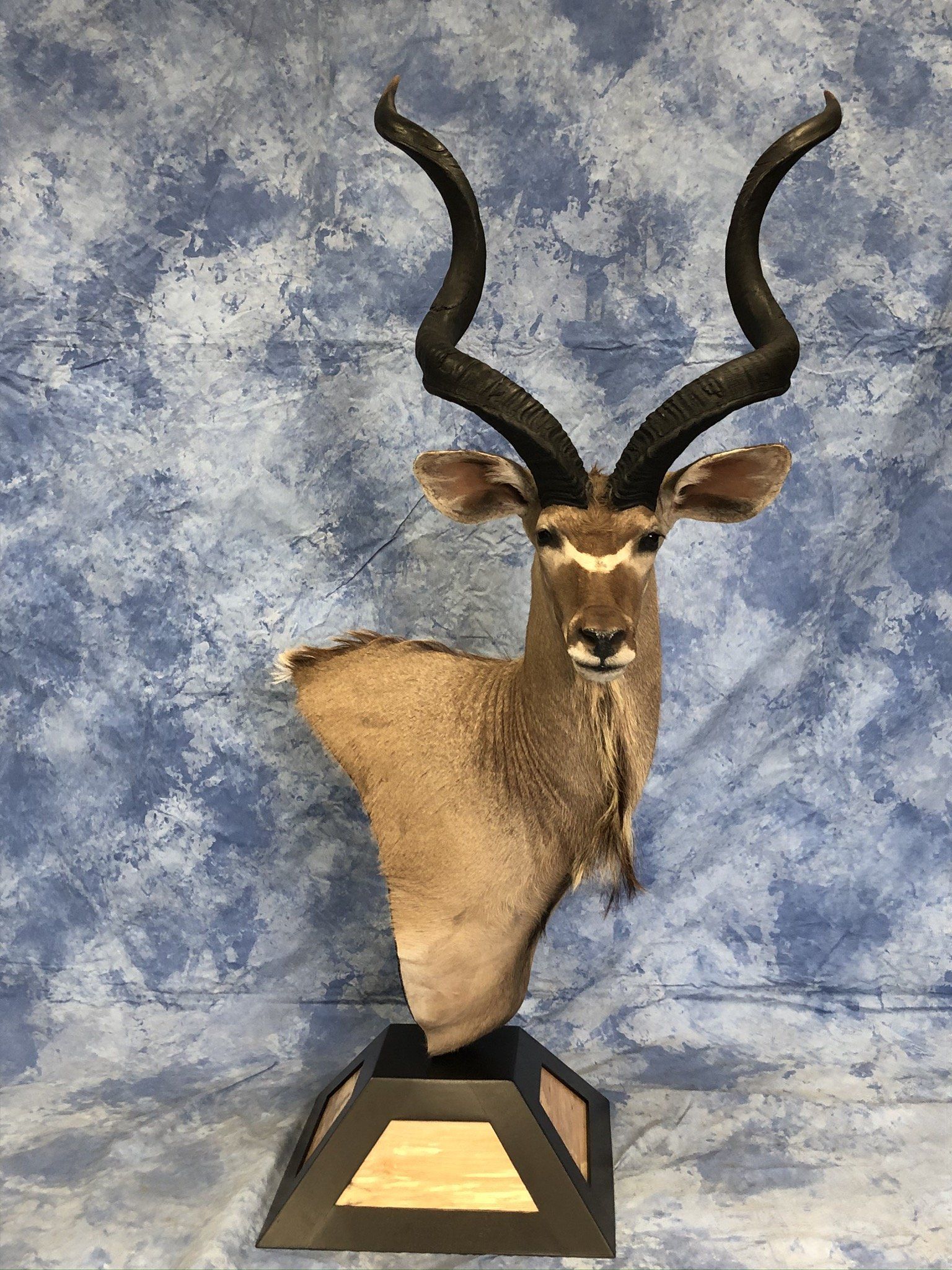 Game Head and Pedestals photo gallery