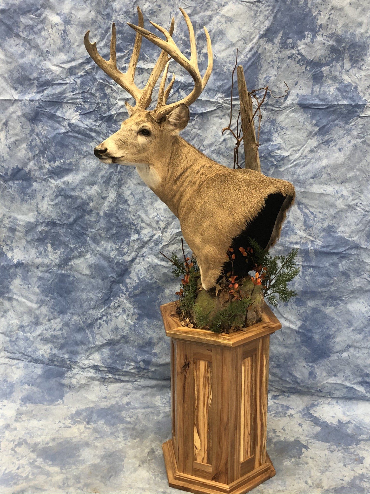 Game Head and Pedestals photo gallery