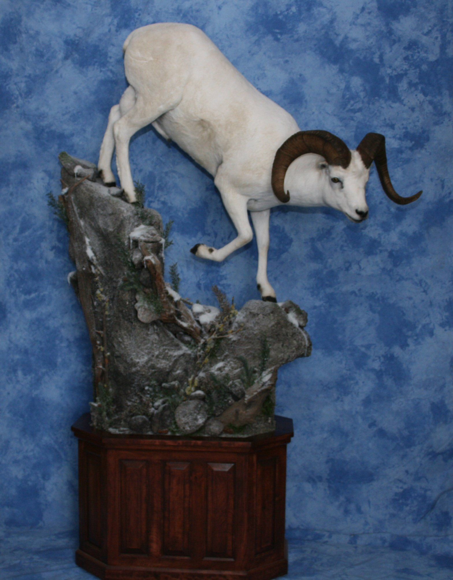 Game Head and Pedestals photo gallery