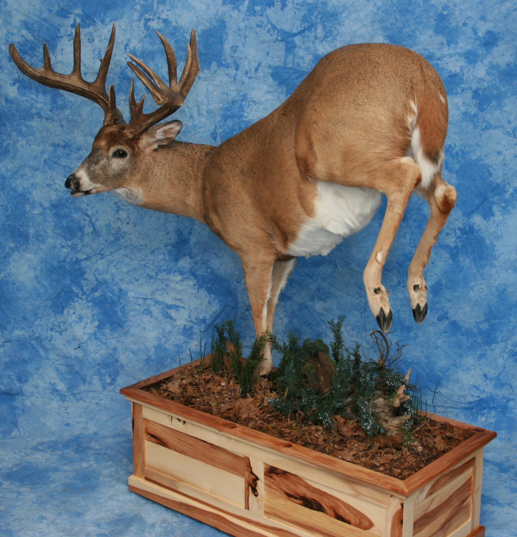 Game Head and Pedestals photo gallery