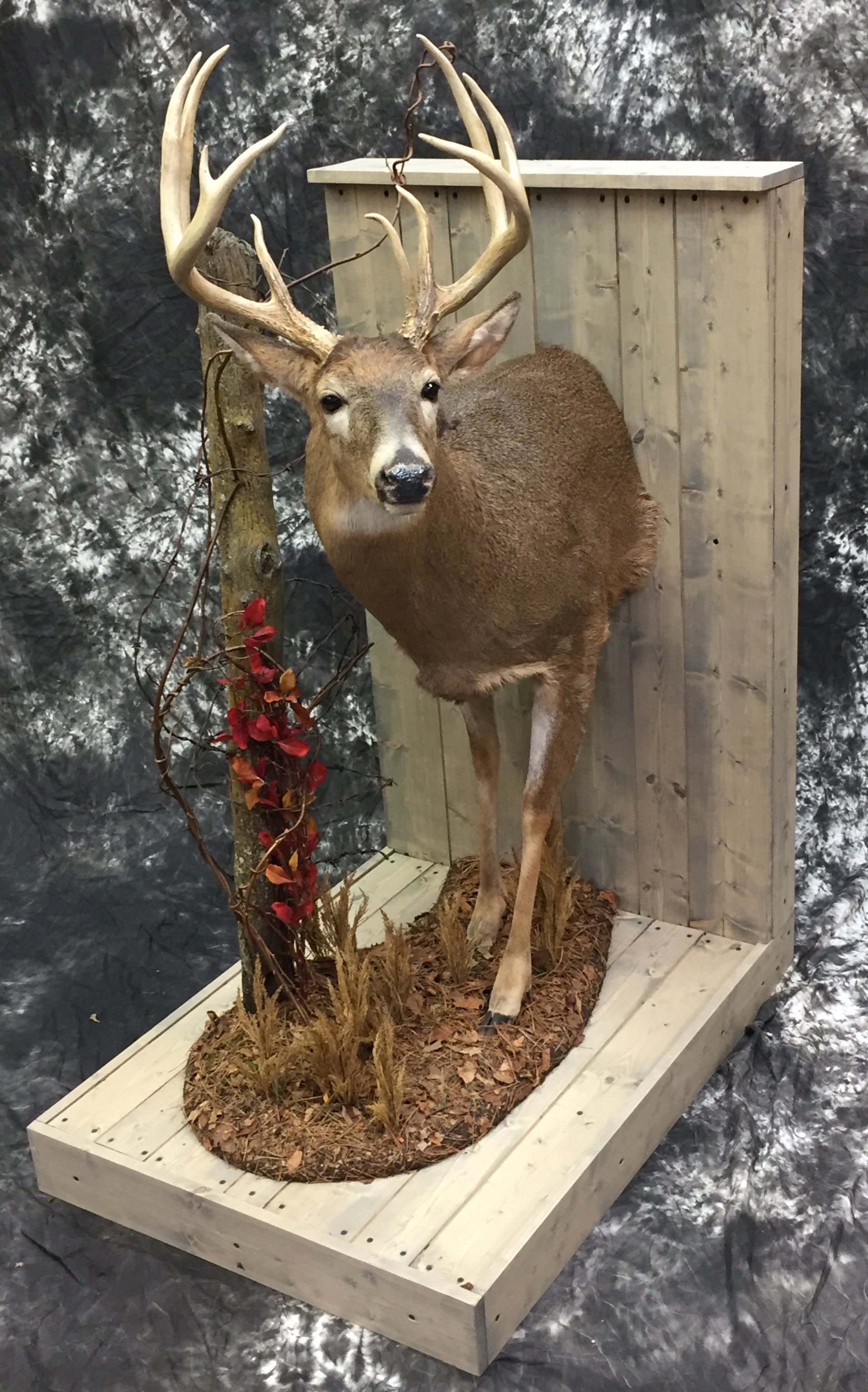 Game Head and Pedestals photo gallery