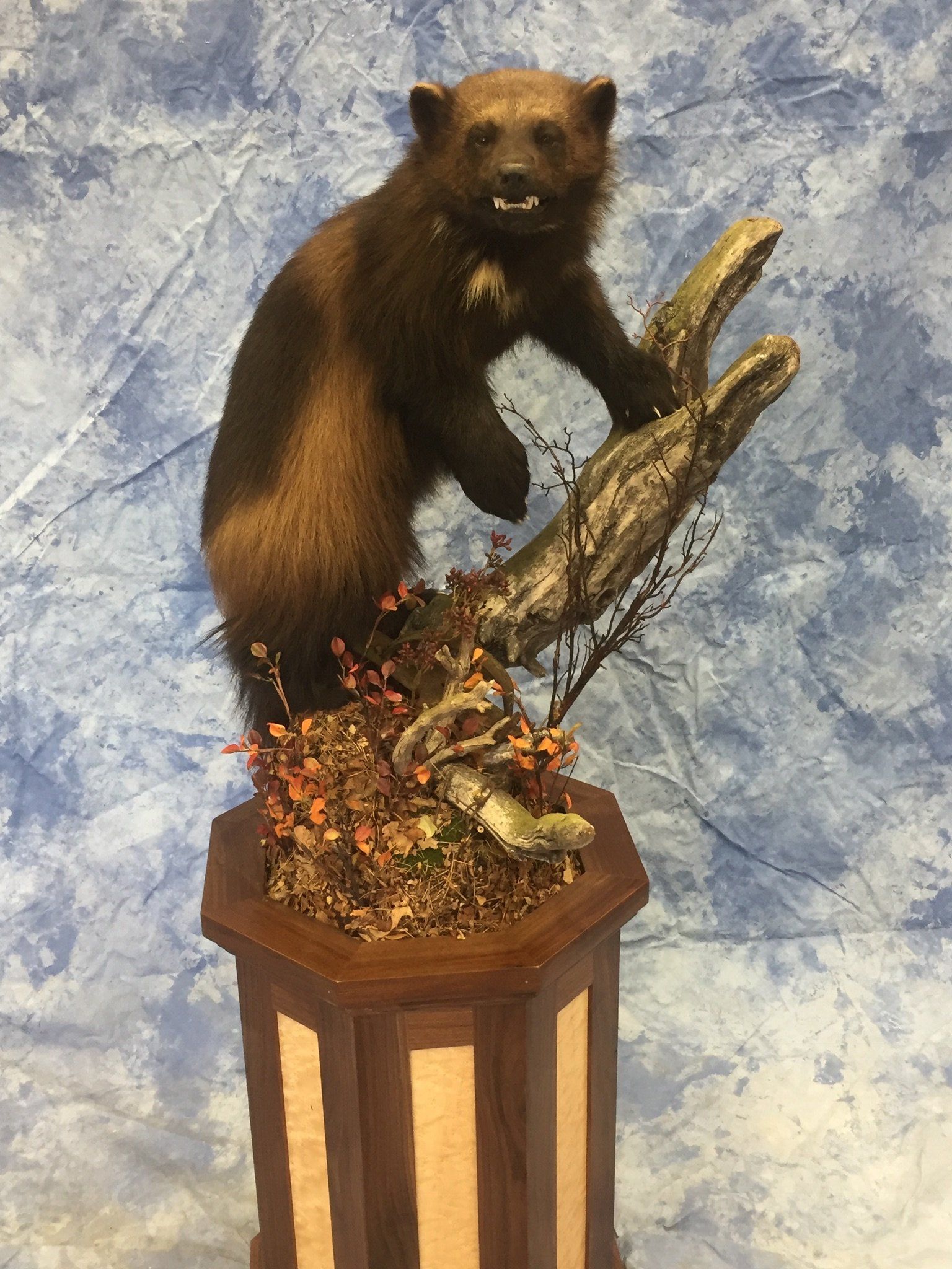 Life-Size Animals photo gallery