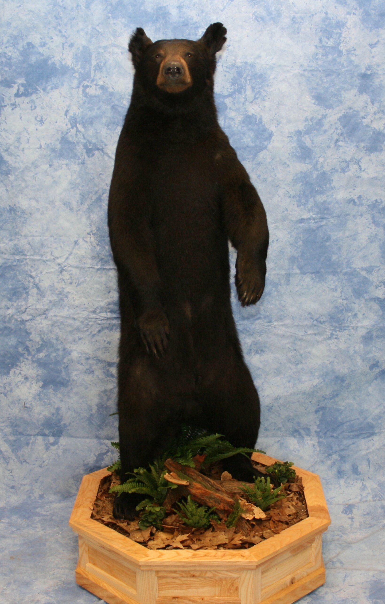 Life-Size Animals photo gallery