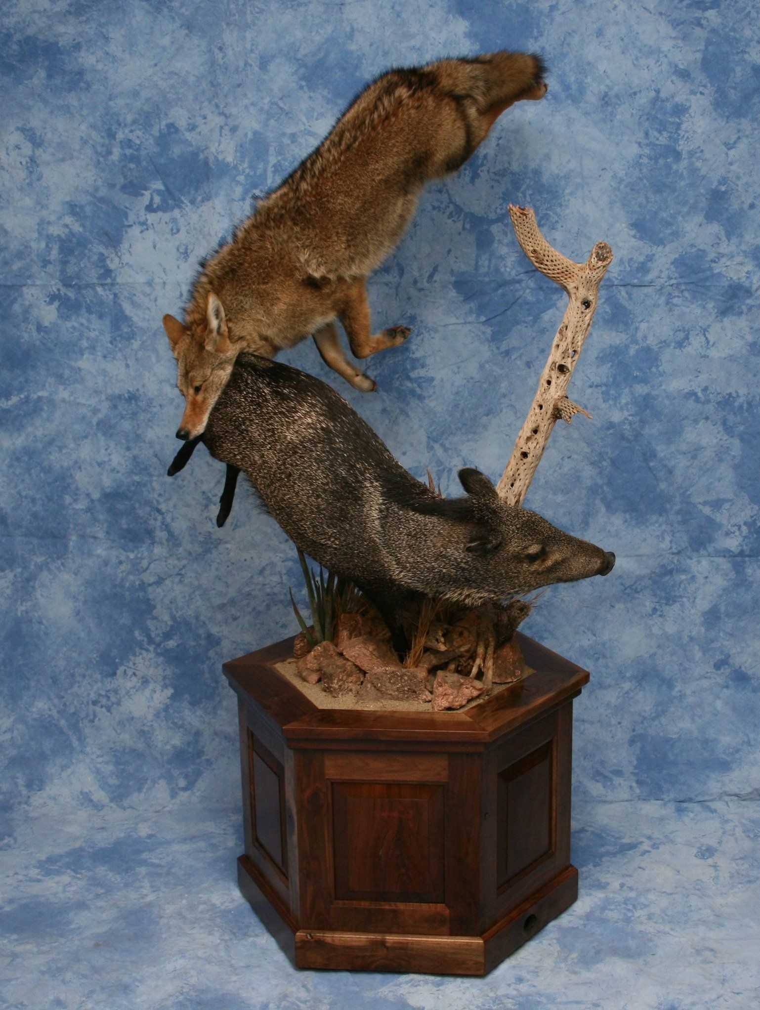 Life-Size Animals photo gallery