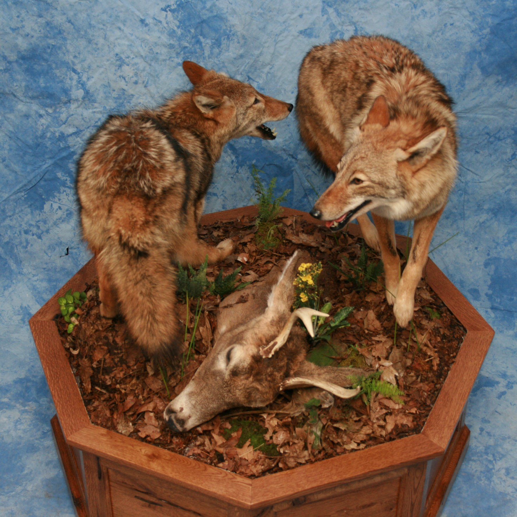 Life-Size Animals photo gallery