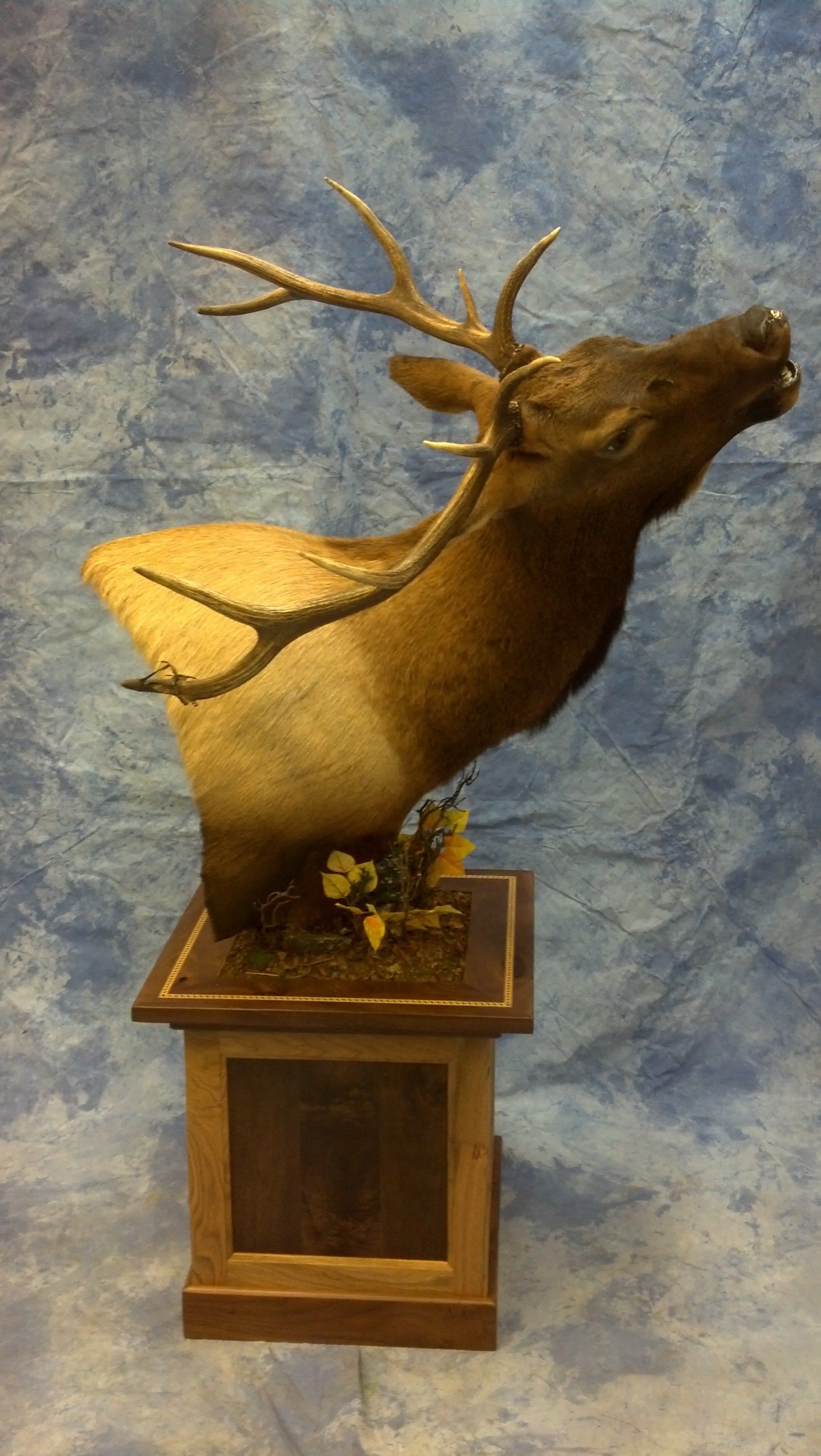 Game Head and Pedestals photo gallery