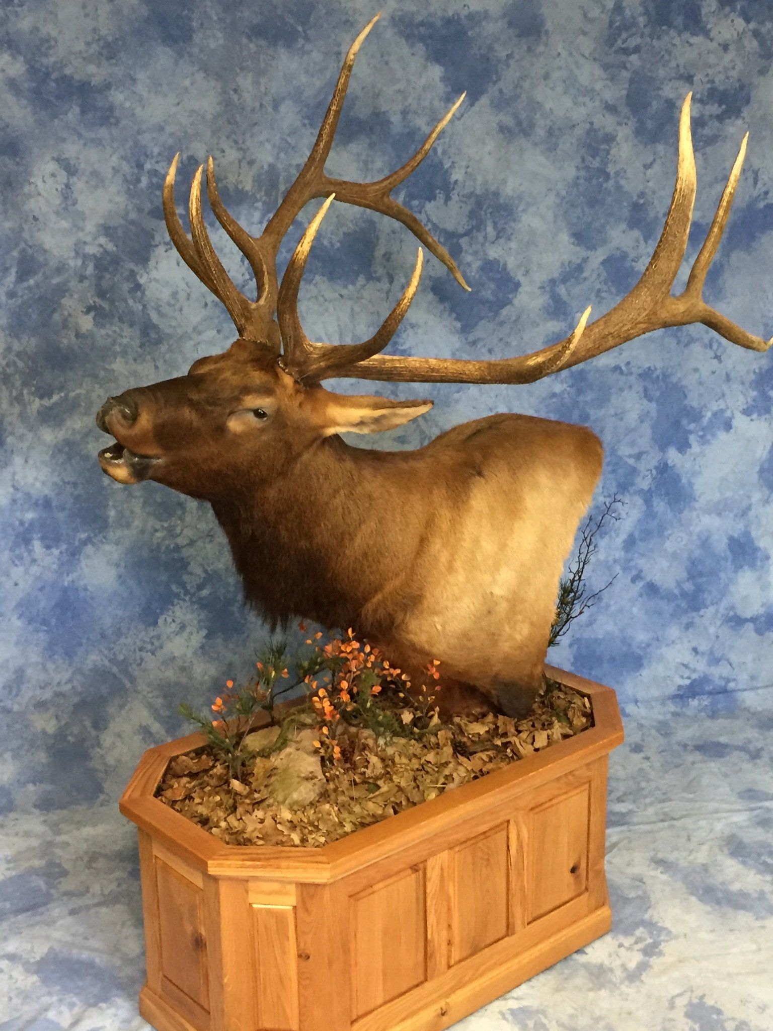 Game Head and Pedestals photo gallery