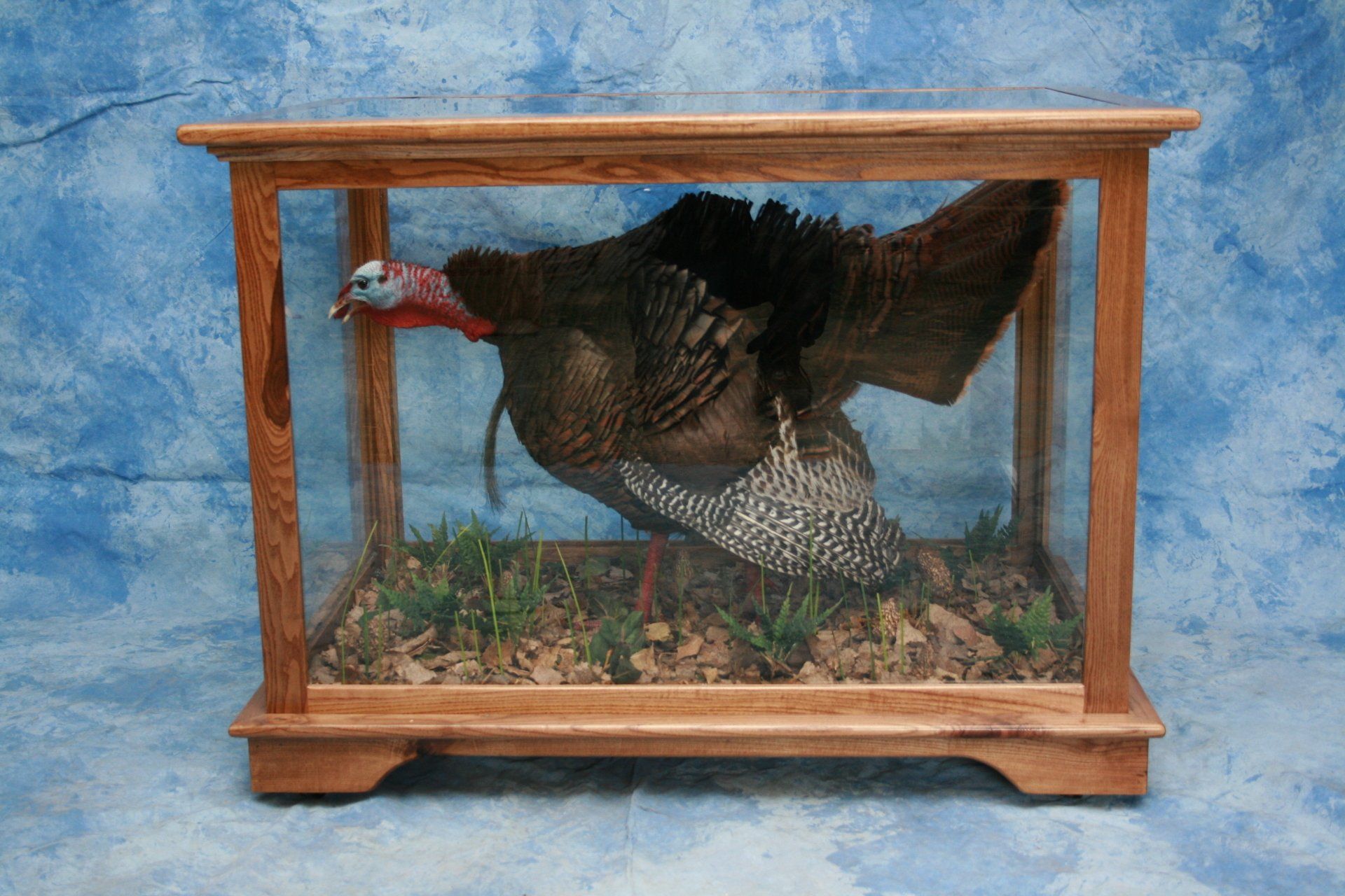 Turkey Taxidermy photo gallery