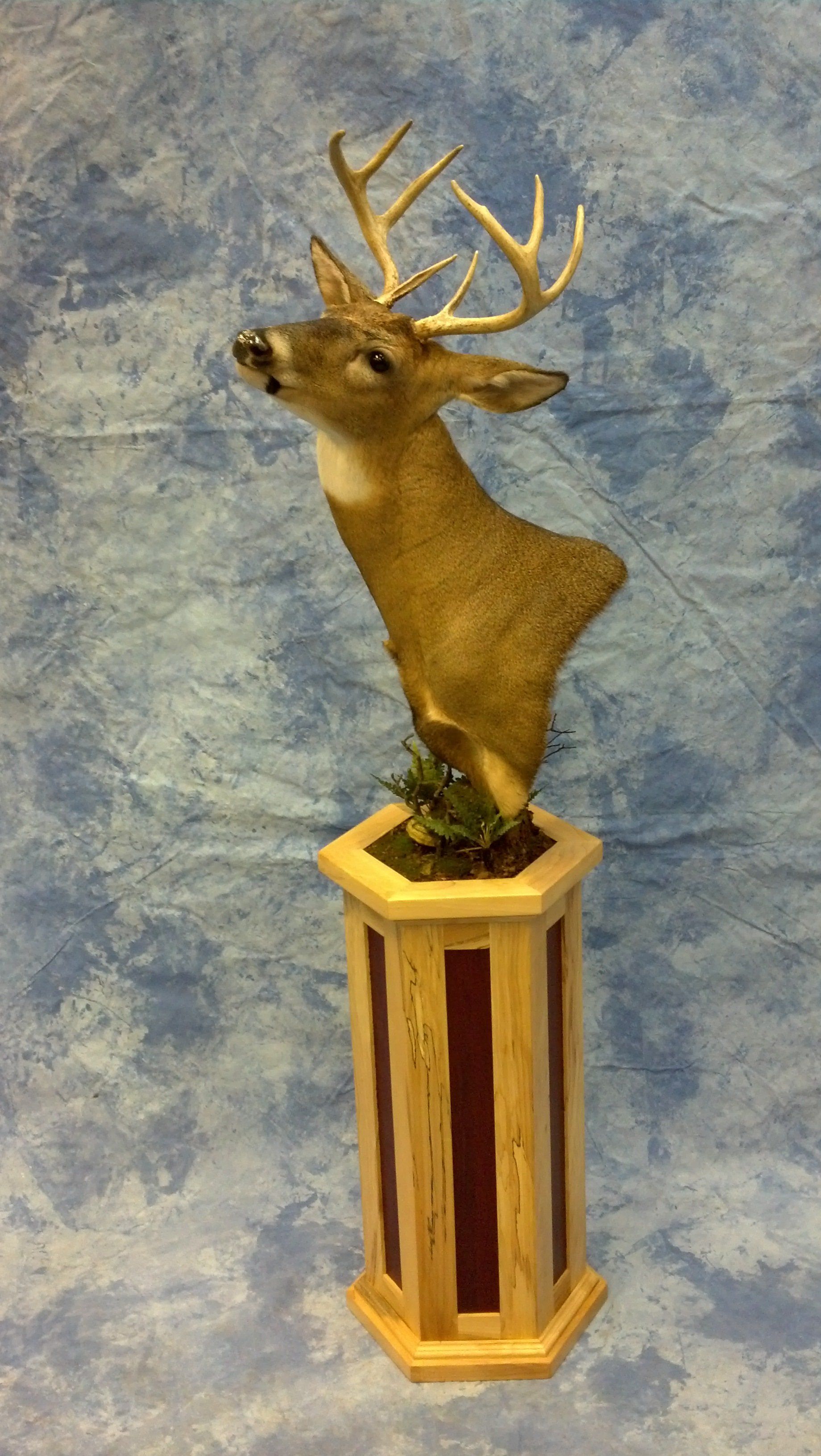 Game Head and Pedestals photo gallery