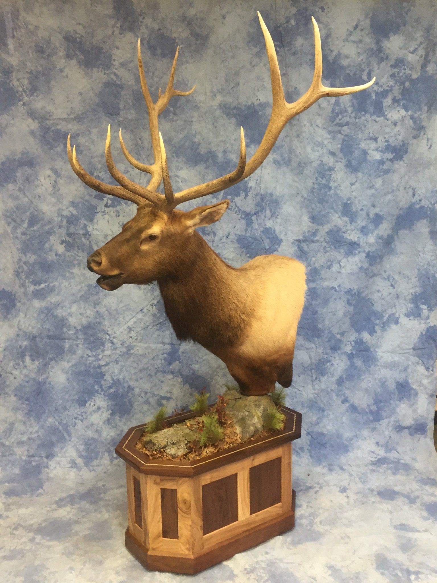 Game Head and Pedestals photo gallery