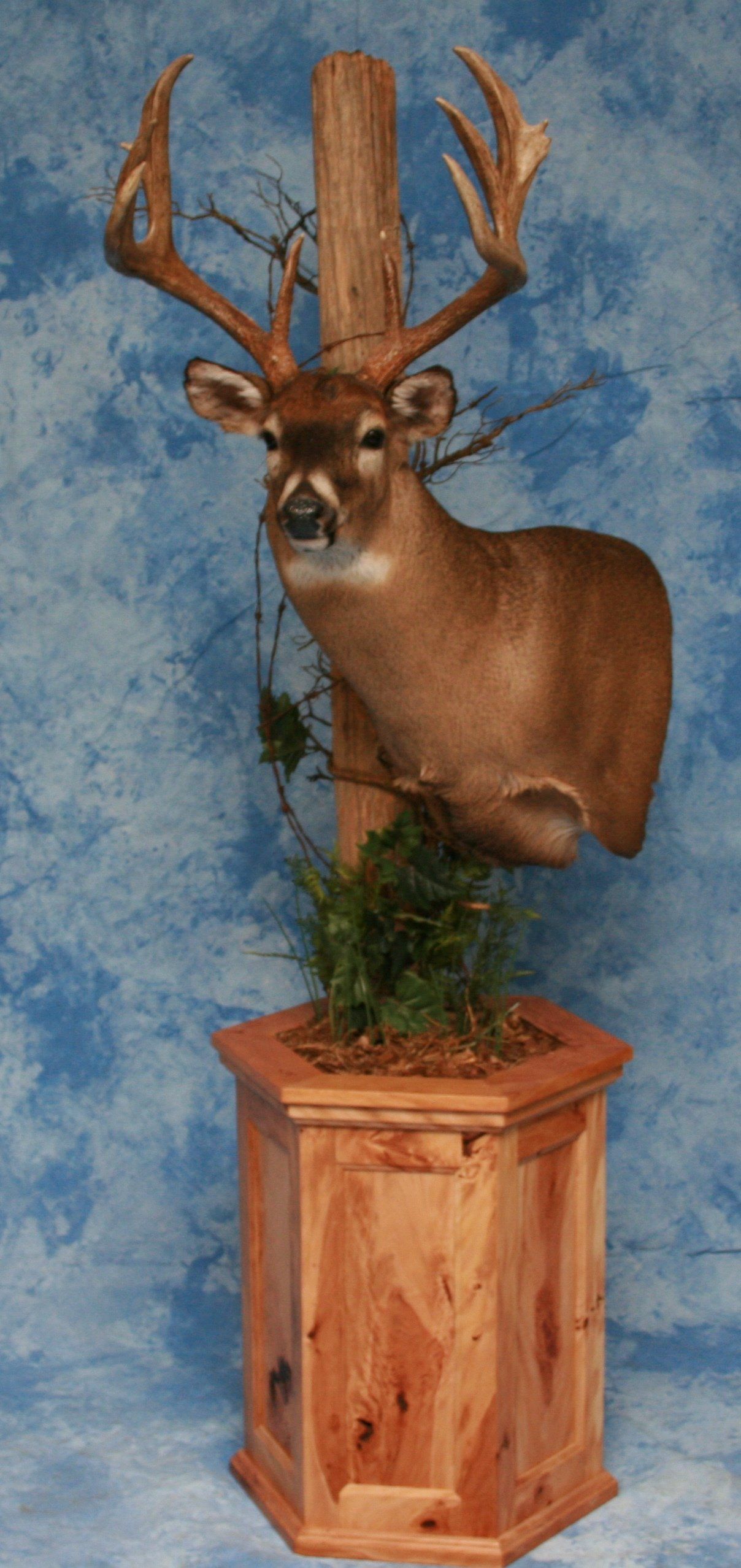 Game Head and Pedestals photo gallery