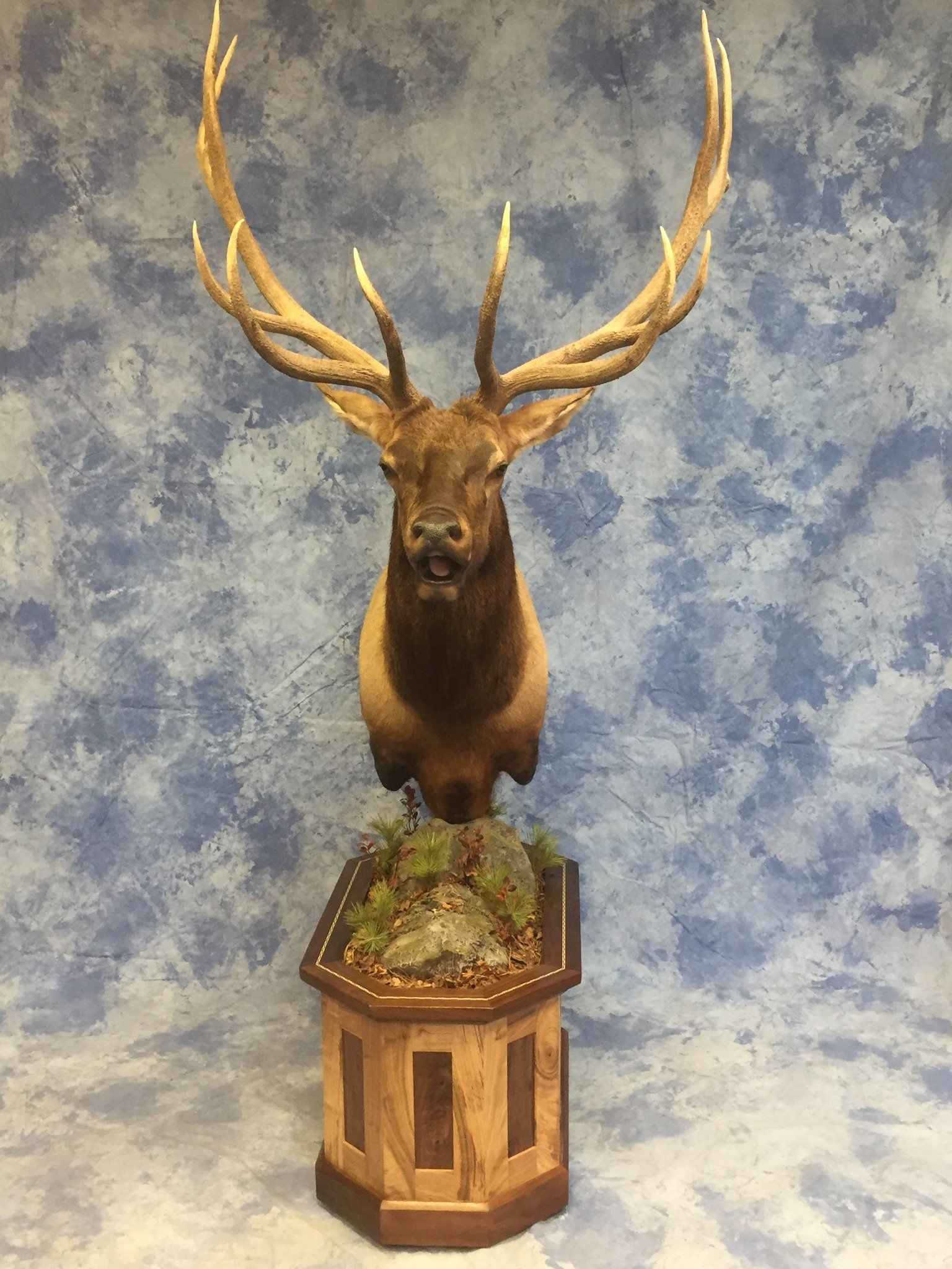 Game Head and Pedestals photo gallery