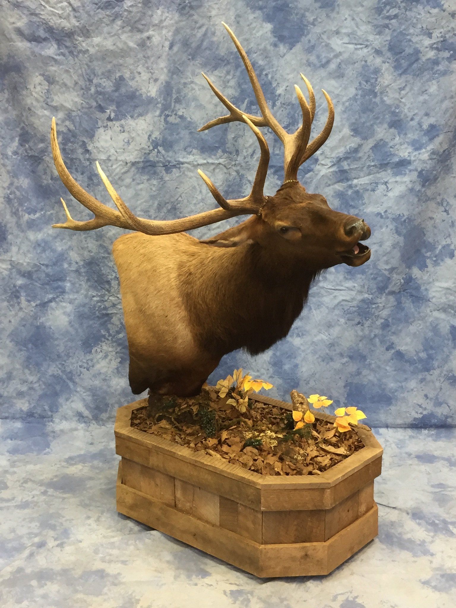 Game Head and Pedestals photo gallery