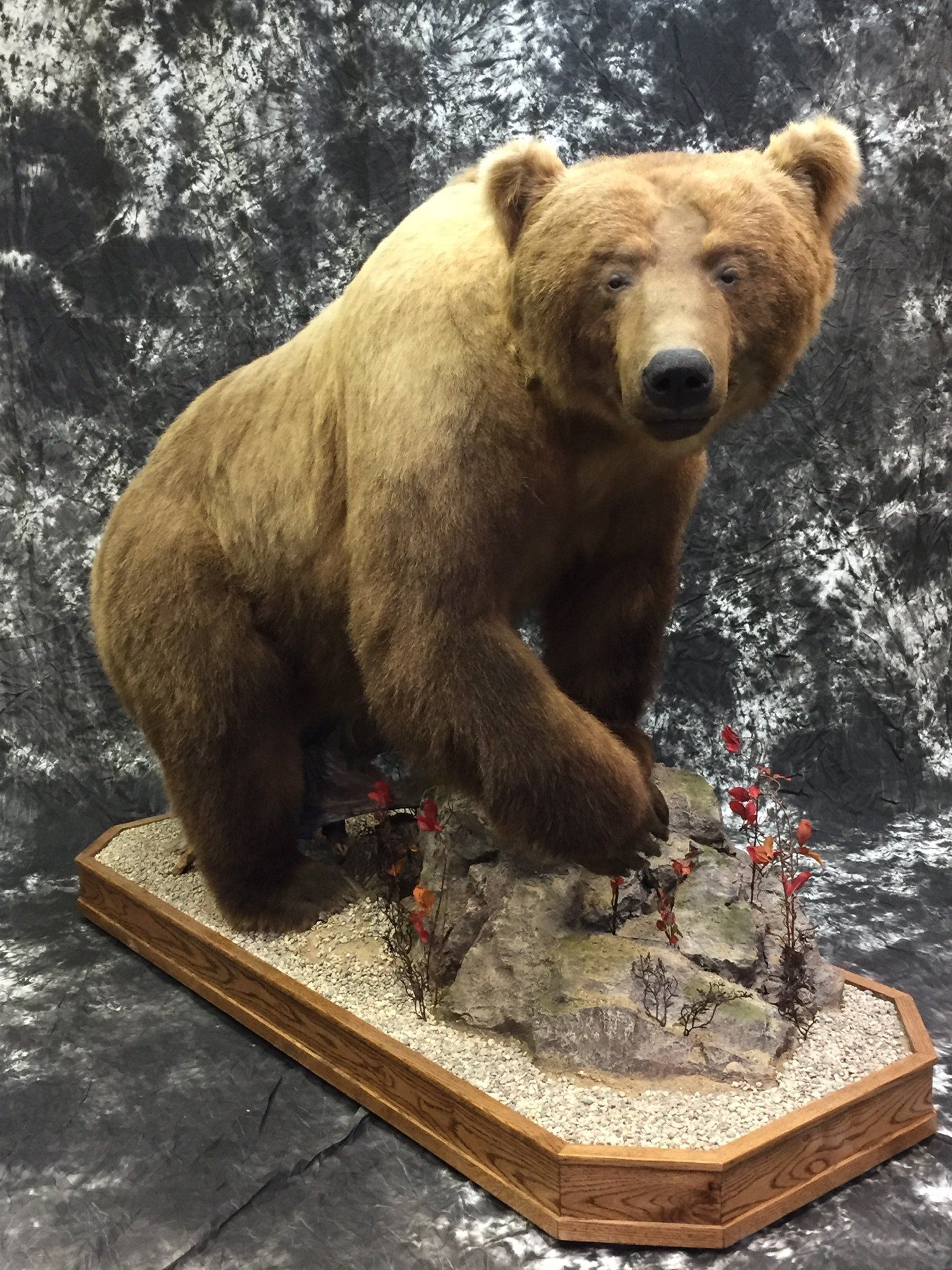 Life-Size Animals photo gallery