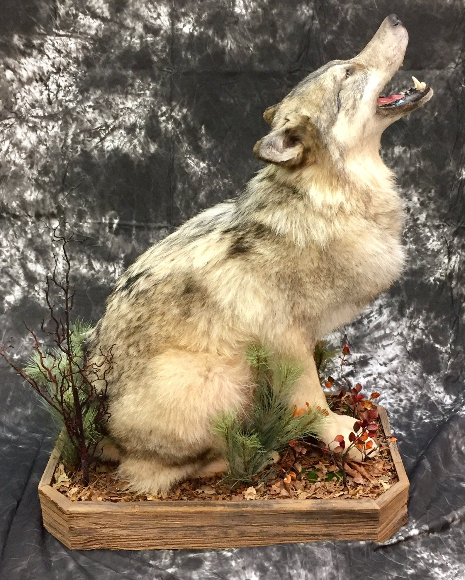 Life-Size Animals photo gallery