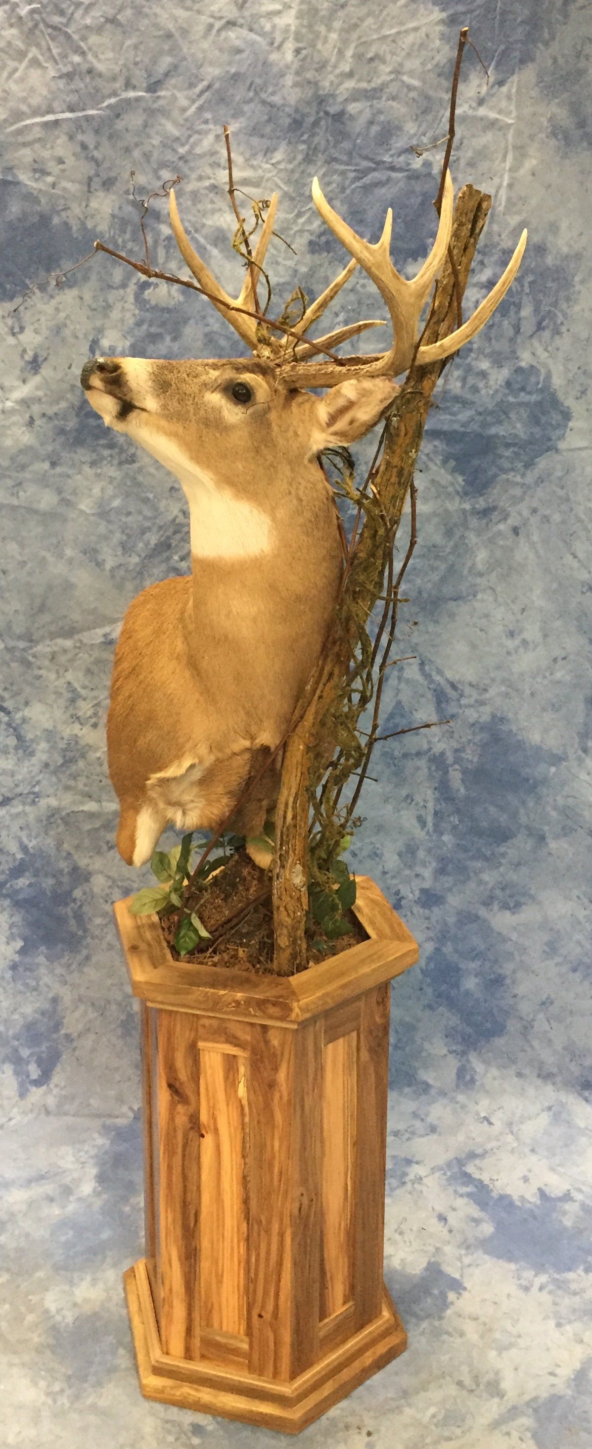 Game Head and Pedestals photo gallery