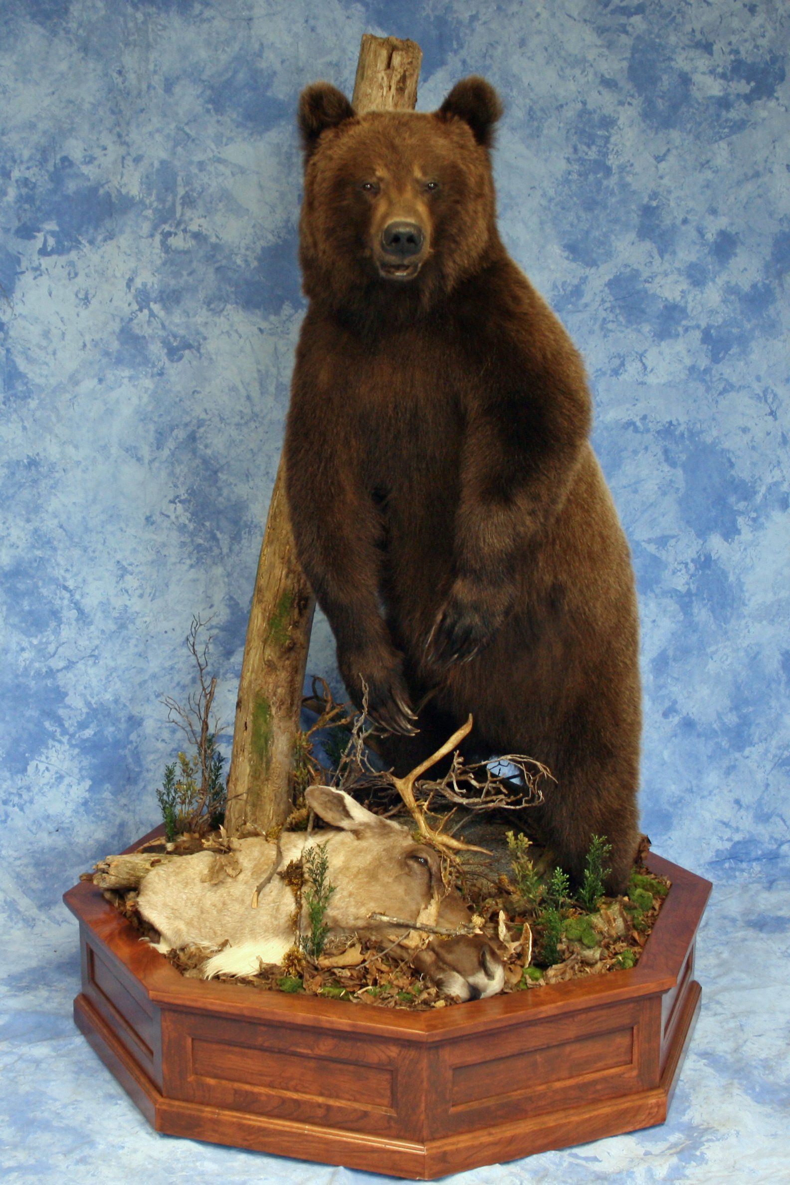 Life-Size Animals photo gallery