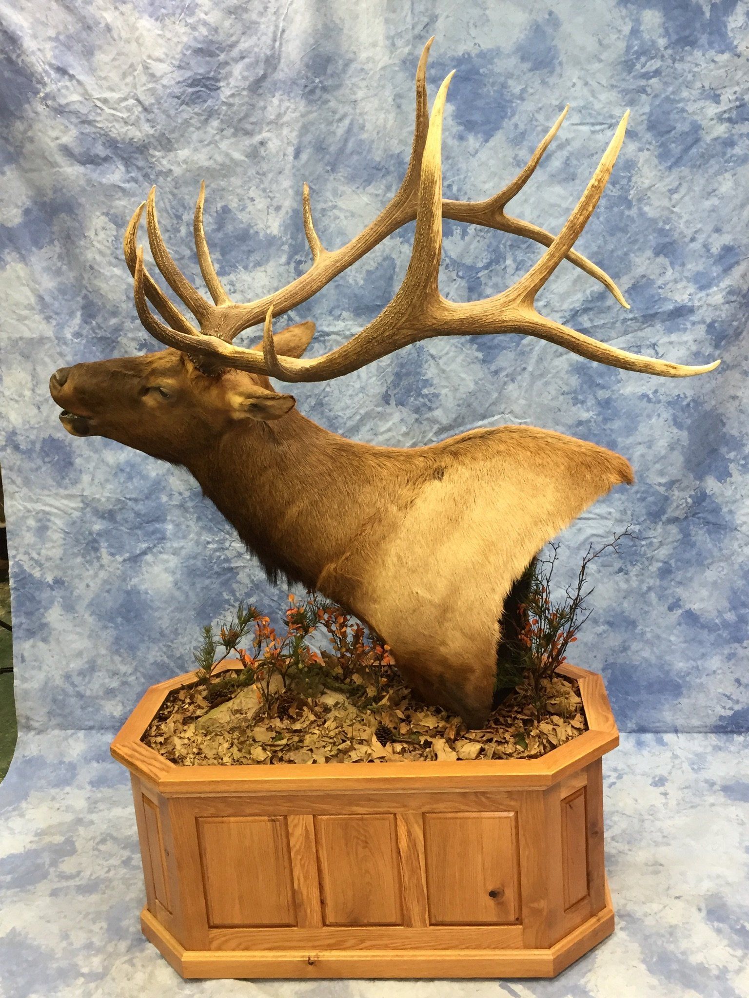 Game Head and Pedestals photo gallery