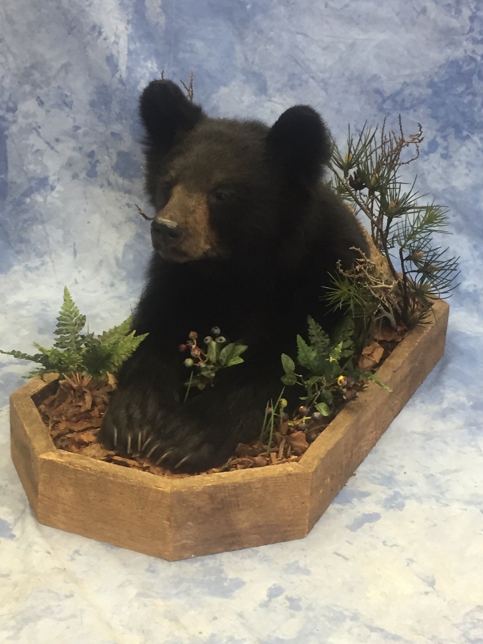 Life-Size Animals photo gallery