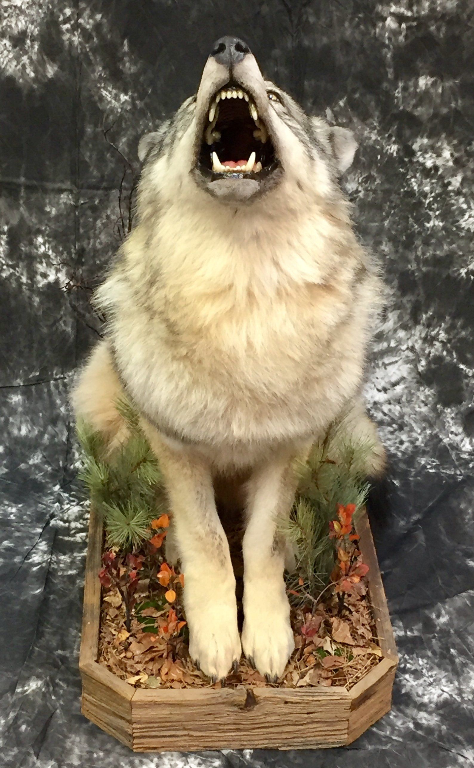 Life-Size Animals photo gallery