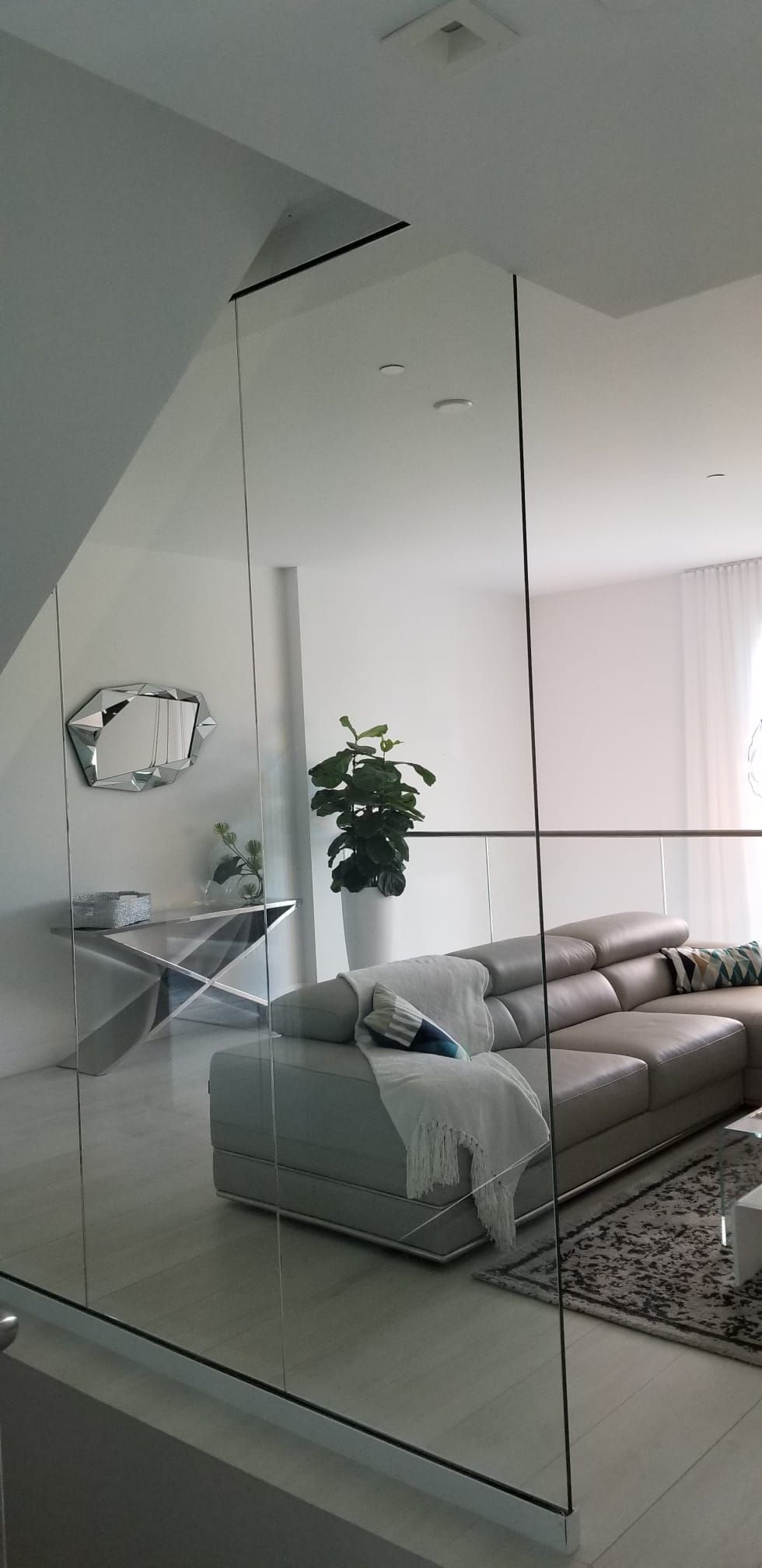 A living room with a couch and a plant behind a glass wall.