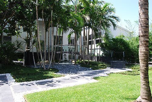 A house with a lot of trees in front of it