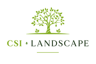 CSI Landscape - Logo