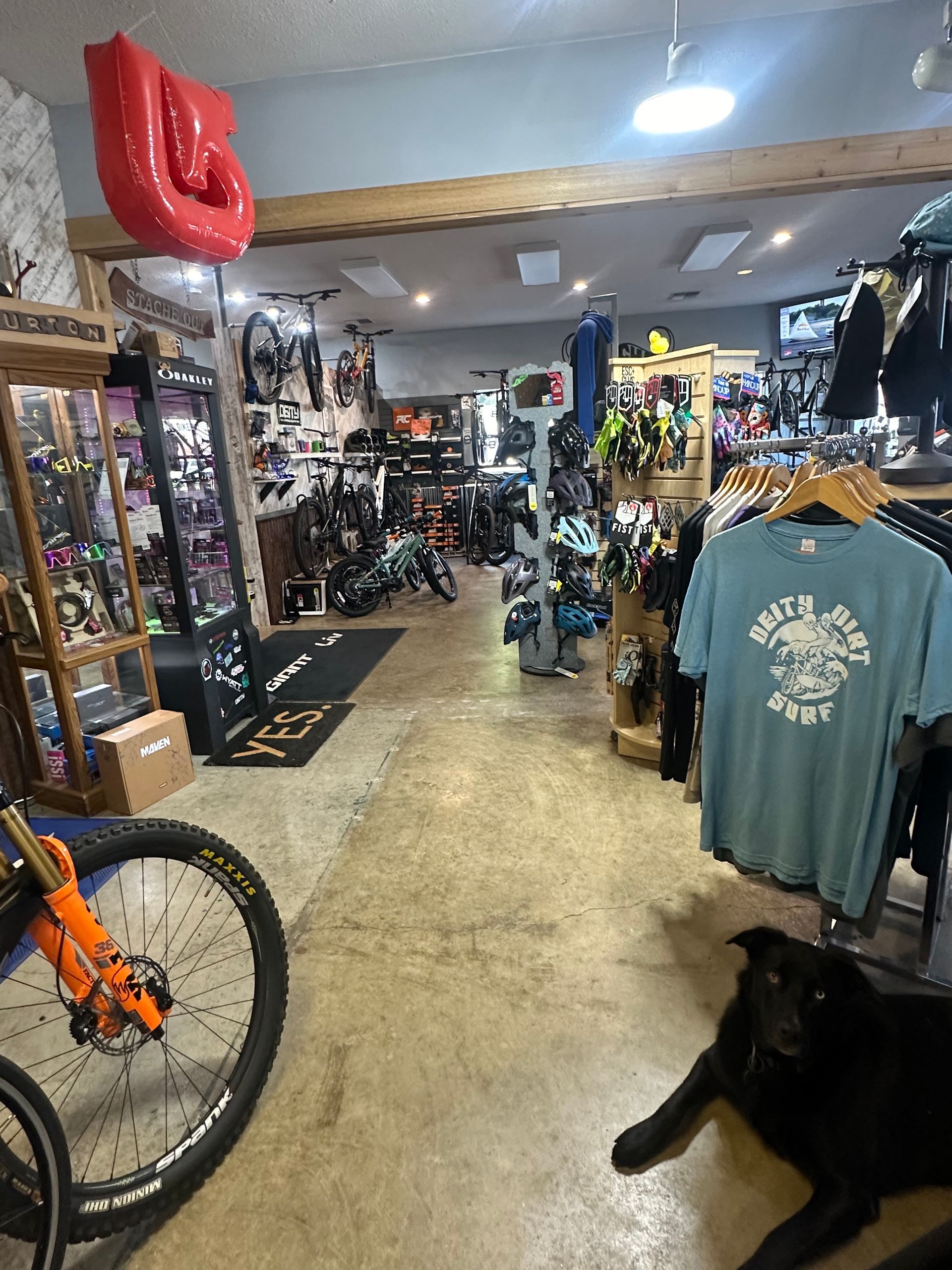 Interior of a bike shop with clothing racks, bicycles, and a black dog on the floor