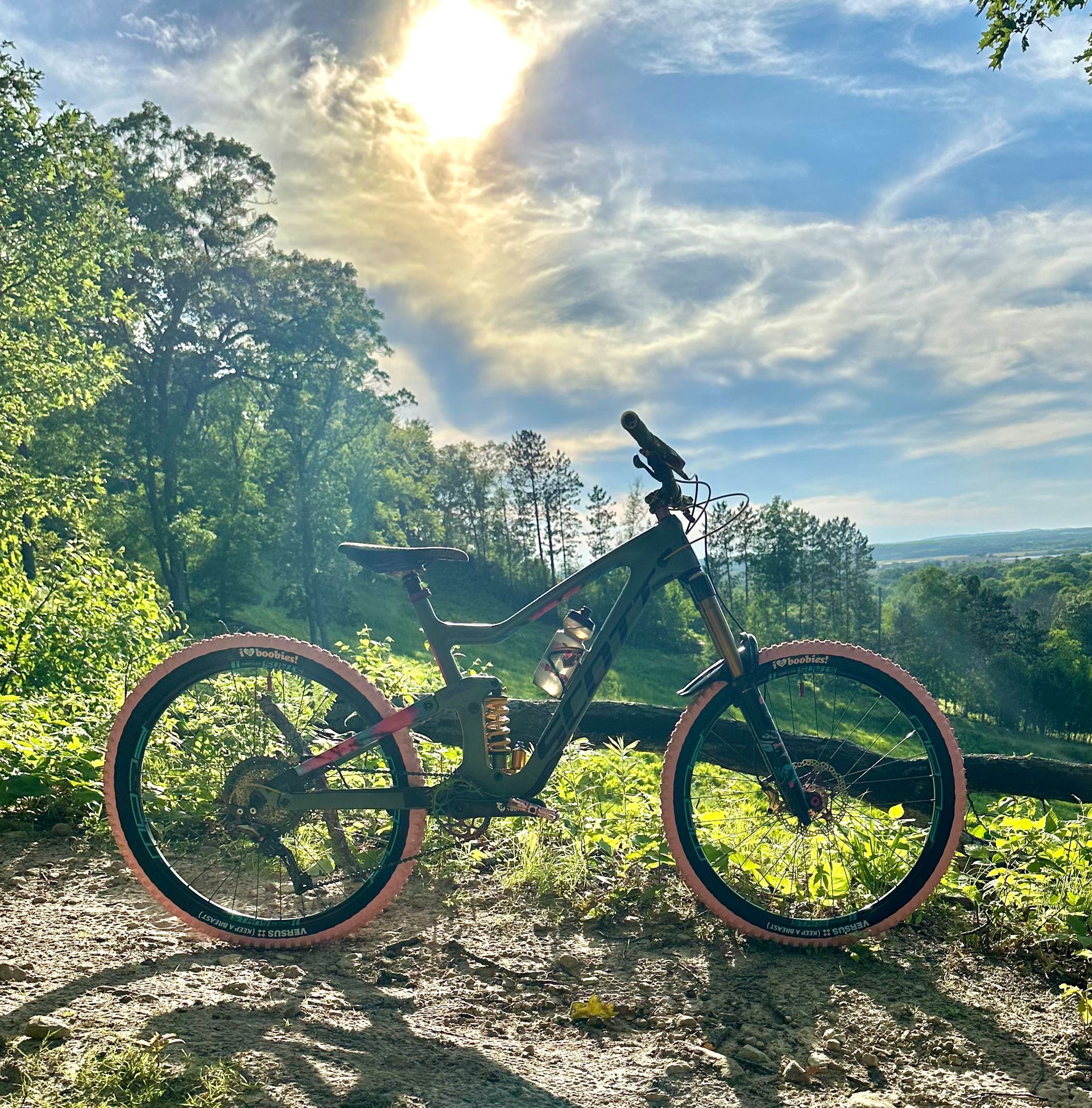 Mountain bike on a forest trail at sunset, with sunlit trees and hills in the background