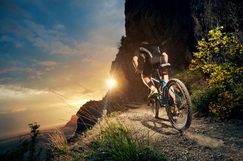 Mountain biker riding a rocky trail at sunset beside a cliff, with a large tree and glowing sky