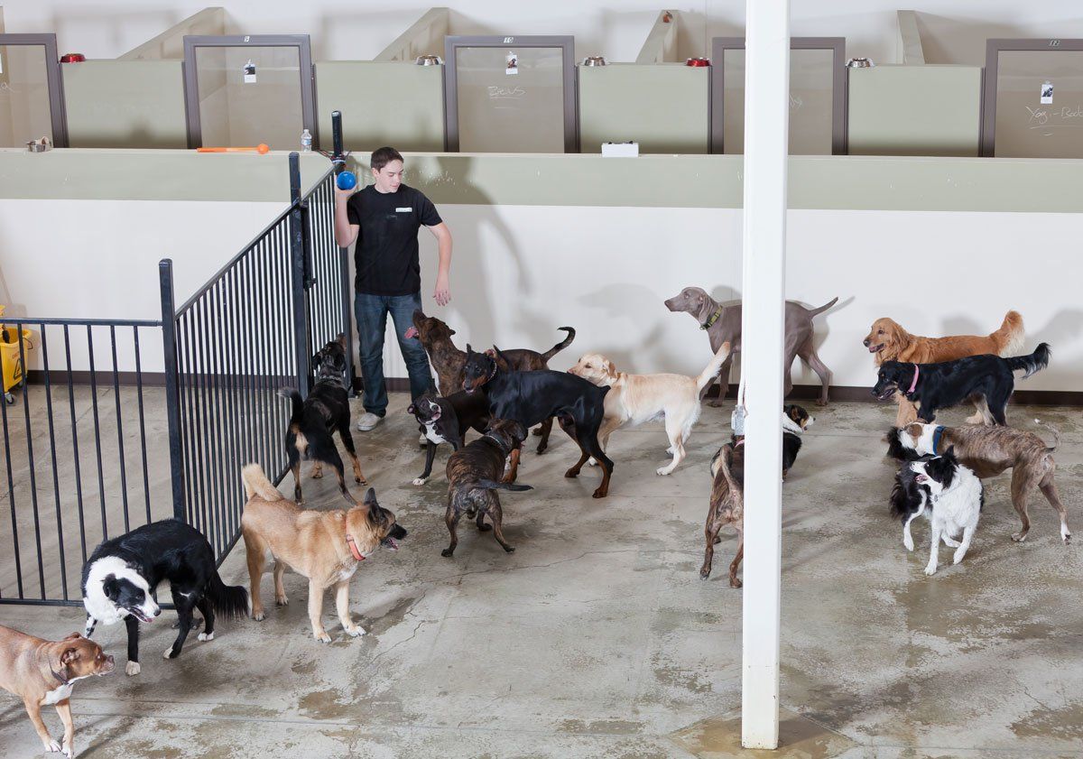 The Bark House Photo Gallery Sparks, NV