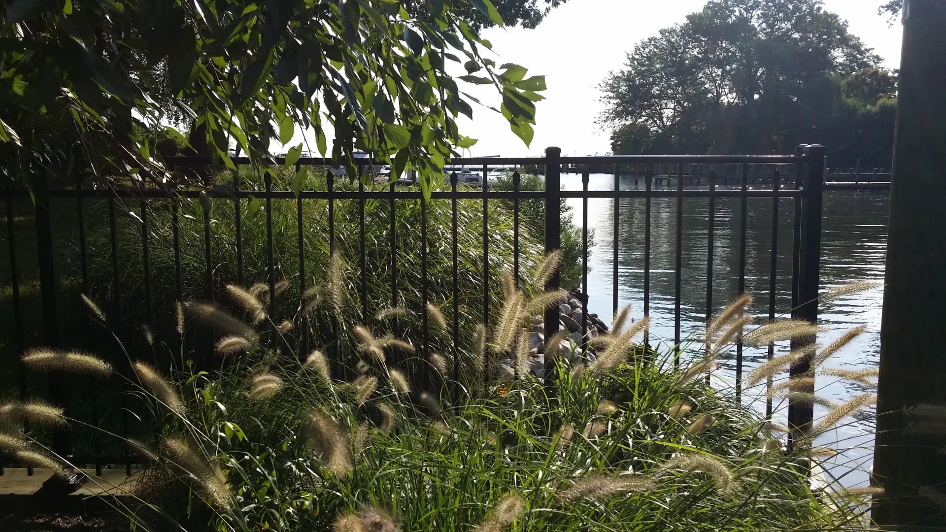 Black metal fence beside a sunlit lakeside path with tall grass and trees