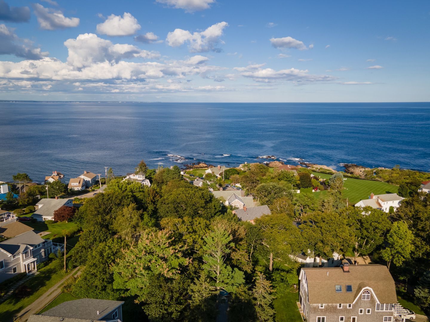 Coastal hillside neighborhood under a bright blue sky, overlooking the ocean and green treetops