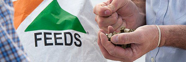 Livestock Feeds