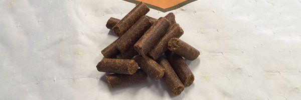 Livestock Feeds