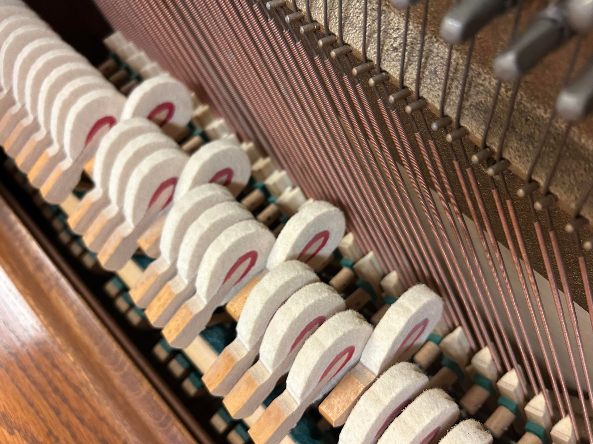 A close up of the inside of a piano showing the hammers and strings.
