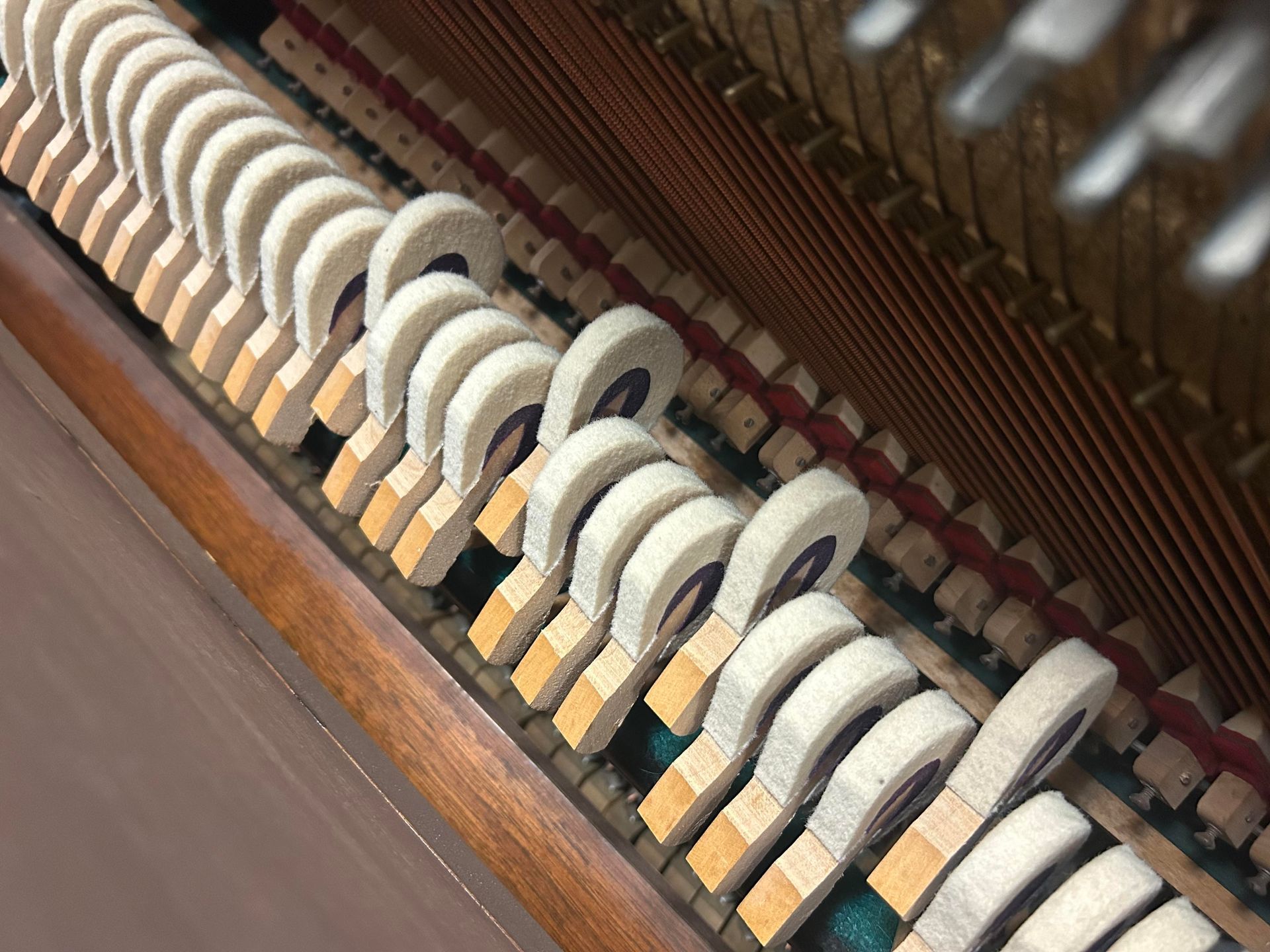 A close up of the inside of a piano with a lot of keys