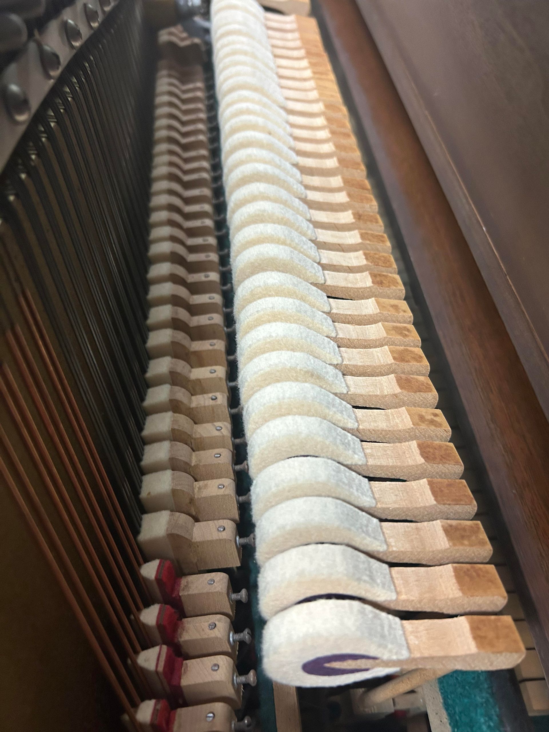 A close up of the inside of a piano showing the keys